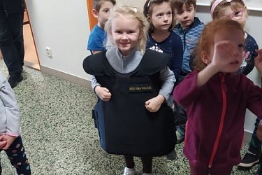 Obrázek č.99