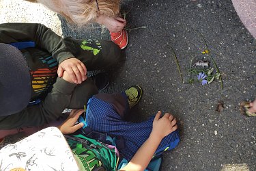 Obrázek č.15