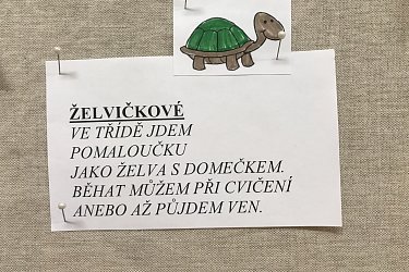 Obrázek č.24