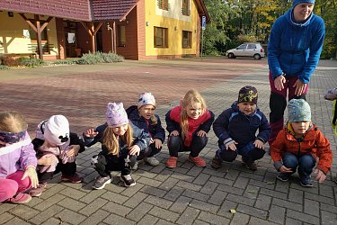 Obrázek č.28