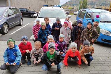Obrázek č.73