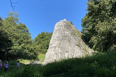 Obrázek č.50