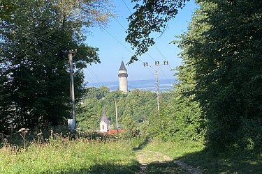 Obrázek č.67