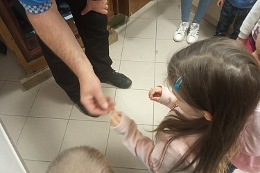 Obrázek č.17