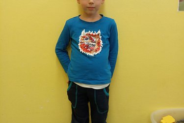 Obrázek č.50