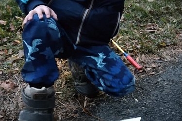 Obrázek č.78