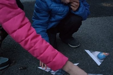 Obrázek č.61