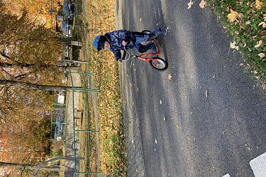 Obrázek č.55