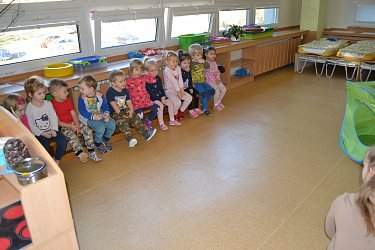 Obrázek č.296