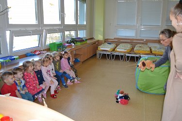 Obrázek č.311