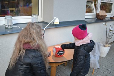 Obrázek č.39