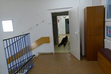 Obrázek č.206