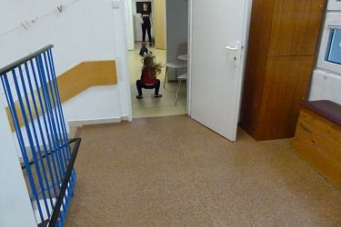 Obrázek č.235