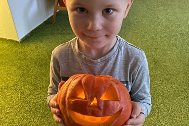 Obrázek č.43