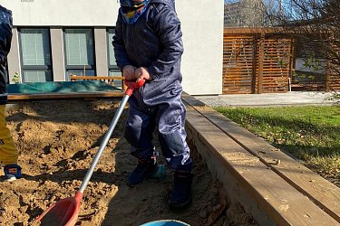 Obrázek č.60
