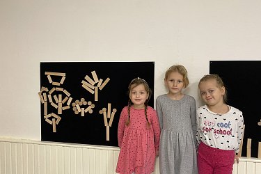 Obrázek č.16