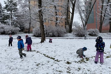 Obrázek č.12