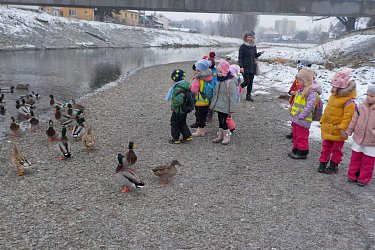 Obrázek č.5