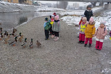 Obrázek č.6