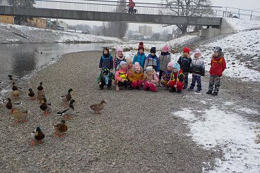 Obrázek č.10