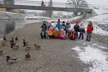 Obrázek č.15