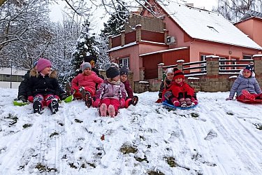 Obrázek č.101