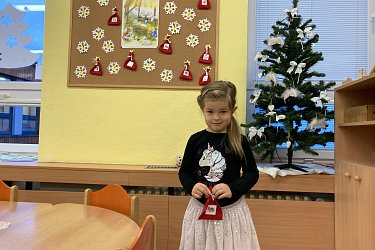Obrázek č.13