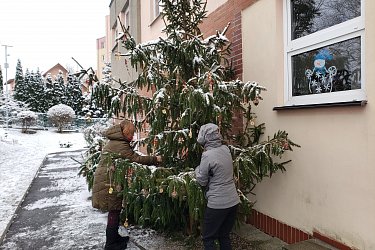 Obrázek č.13