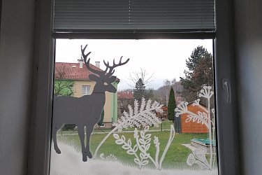 Obrázek č.15