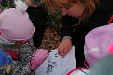 Obrázek č.11