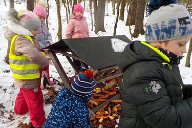 Obrázek č.53