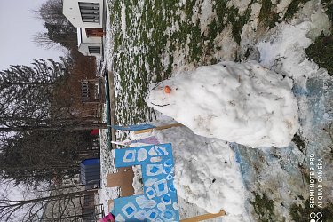 Obrázek č.77