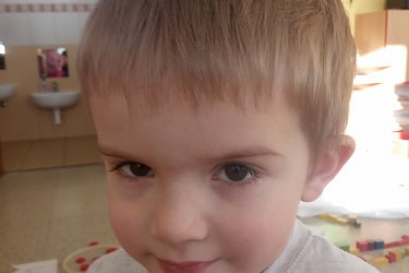 Obrázek č.107