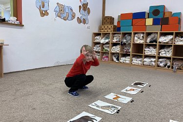 Obrázek č.40