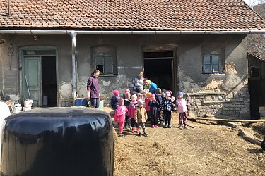 Obrázek č.39