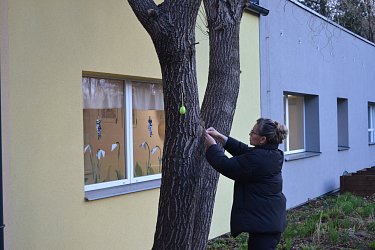 Mozek a pečení - třída Kapičky