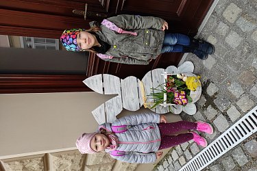 Obrázek č.50