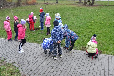 Obrázek č.101