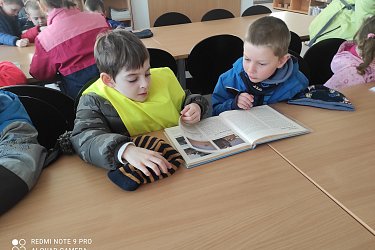 Obrázek č.11