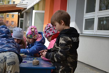 Obrázek č.21