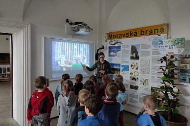 Obrázek č.17