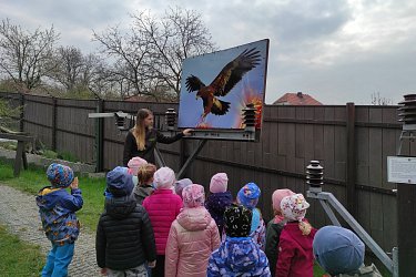 Obrázek č.44