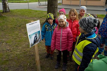 Obrázek č.58