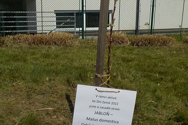 Obrázek č.104