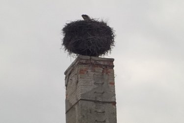 Obrázek č.54