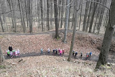 Obrázek č.80