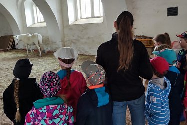 Obrázek č.91
