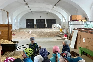 Obrázek č.61