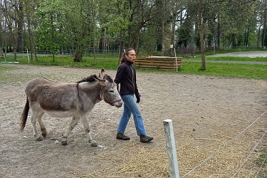 Obrázek č.36