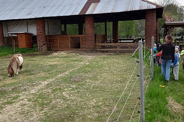 Obrázek č.106